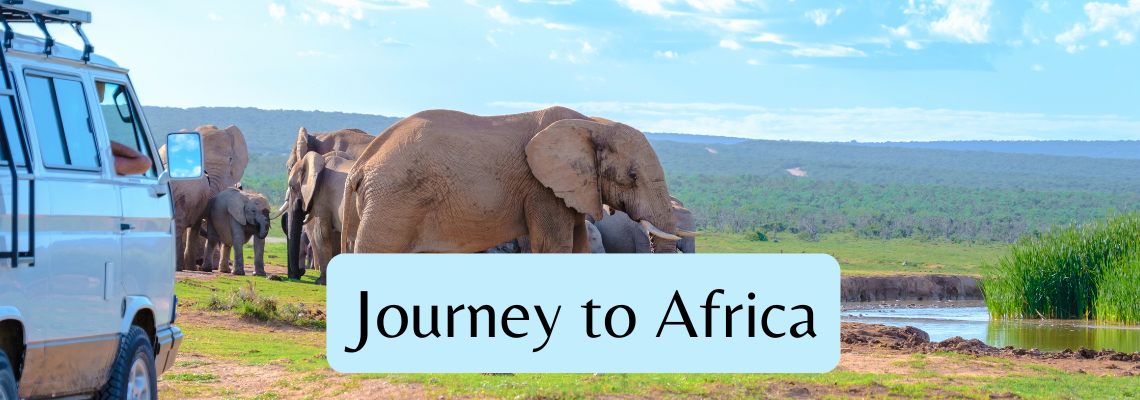 Journey to Africa-January 2026