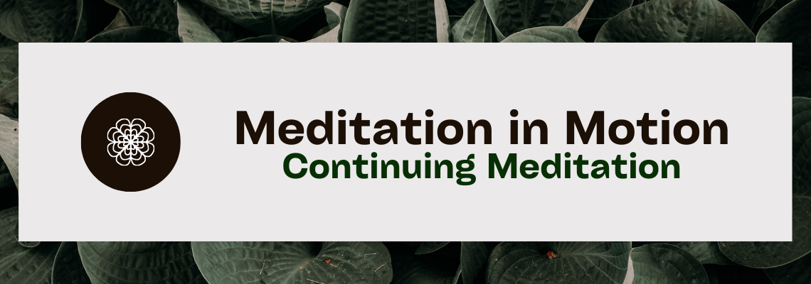 Continuing Meditation: Meditation in Motion
