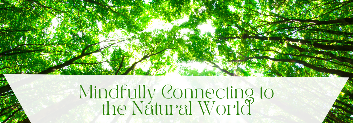 Mindfully Connecting to the Natural World