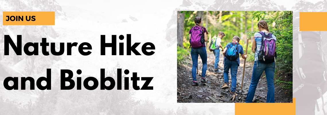 Nature Hike and Bioblitz
