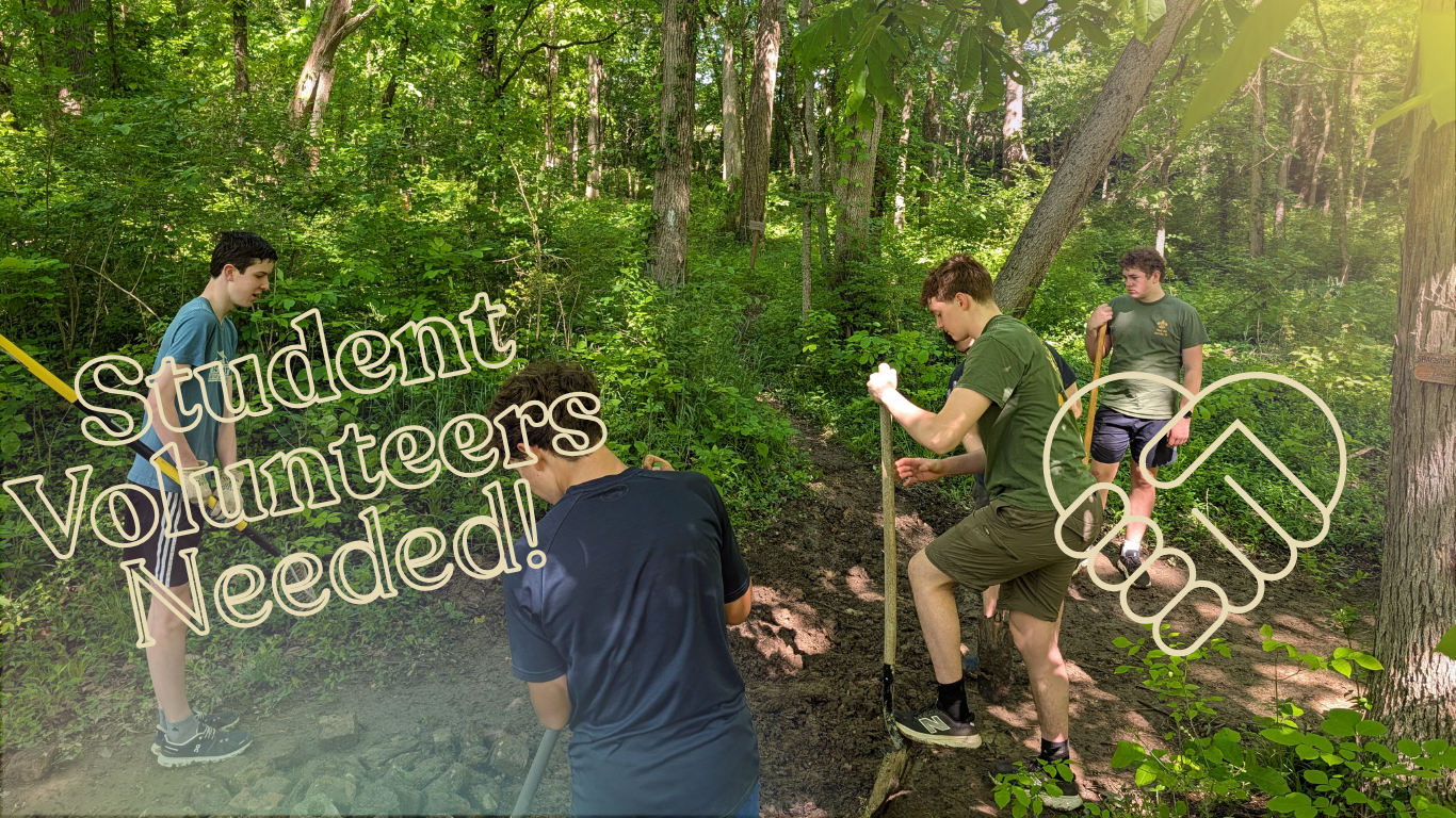 Student Volunteers