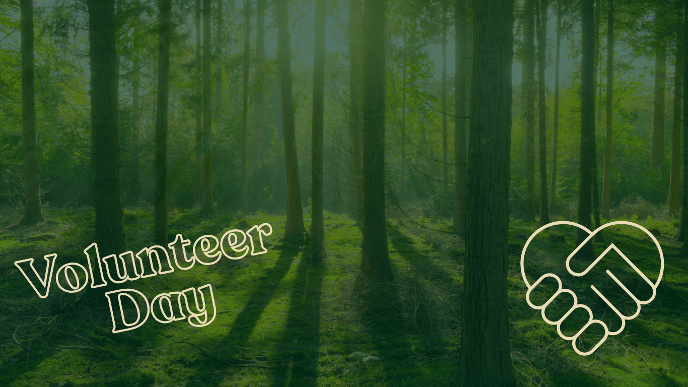 Volunteer Work Day