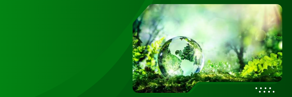Overview of Laudato Si’