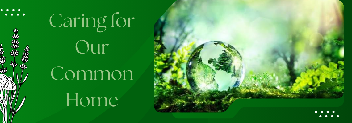 Caring for Our Common Home