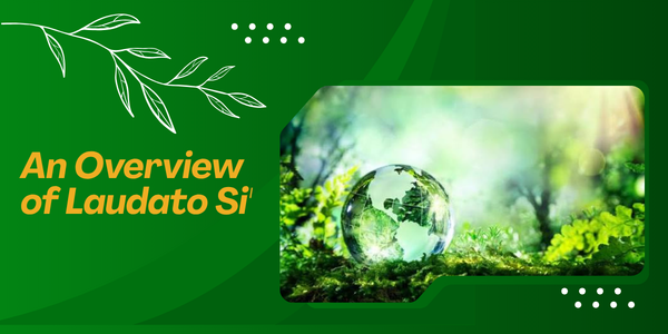Overview of Laudato Si'